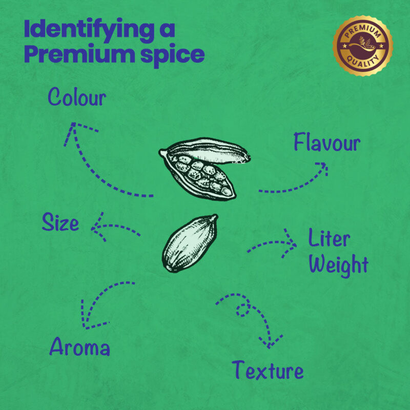 CRISTA Green Cardamom - Image 6