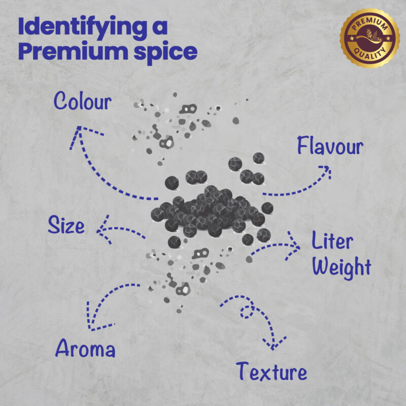 CRISTA Black Pepper Powder - Image 13