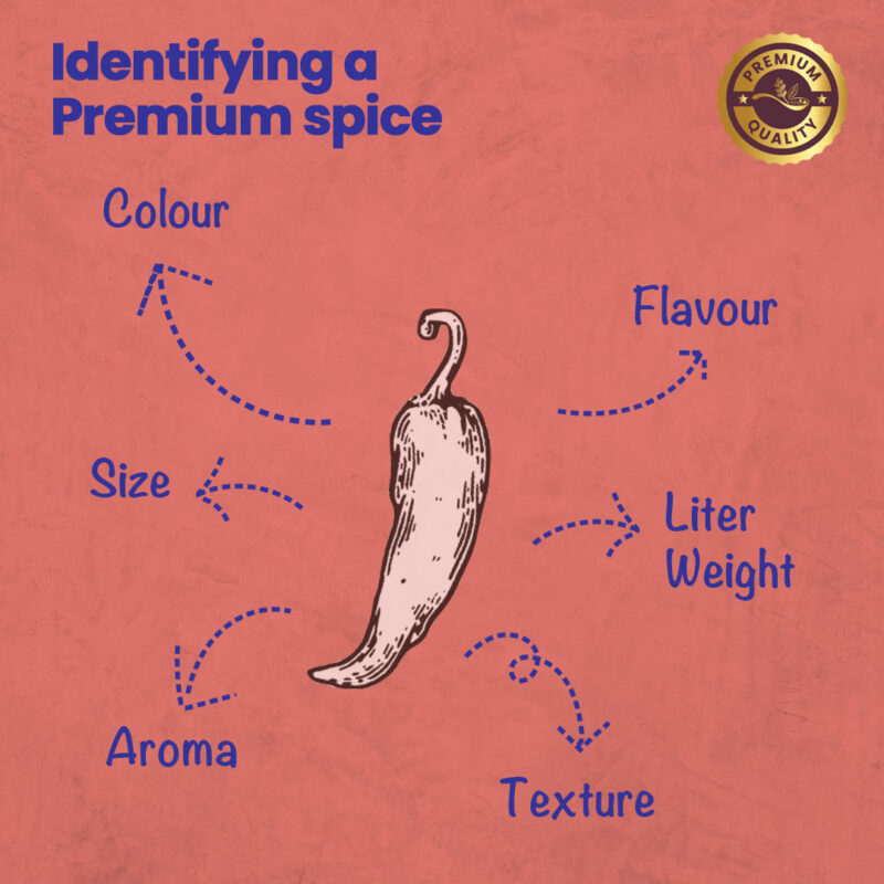 CRISTA Hot Chilli Powder - Image 5