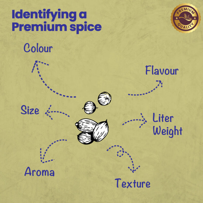 CRISTA Coriander Powder 500 gms - Image 8