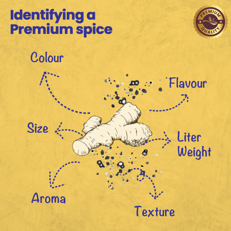 CRISTA Ginger Powder - Image 5