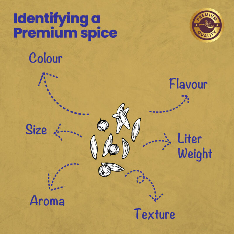 CRISTA Dhaniya Jeera Powder Combo Pack - Image 3