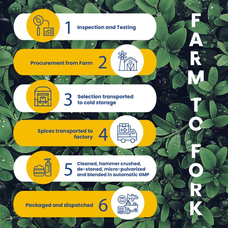 CRISTA Daily Whole Spices (Masala) Combo Pack - 2 - Image 12