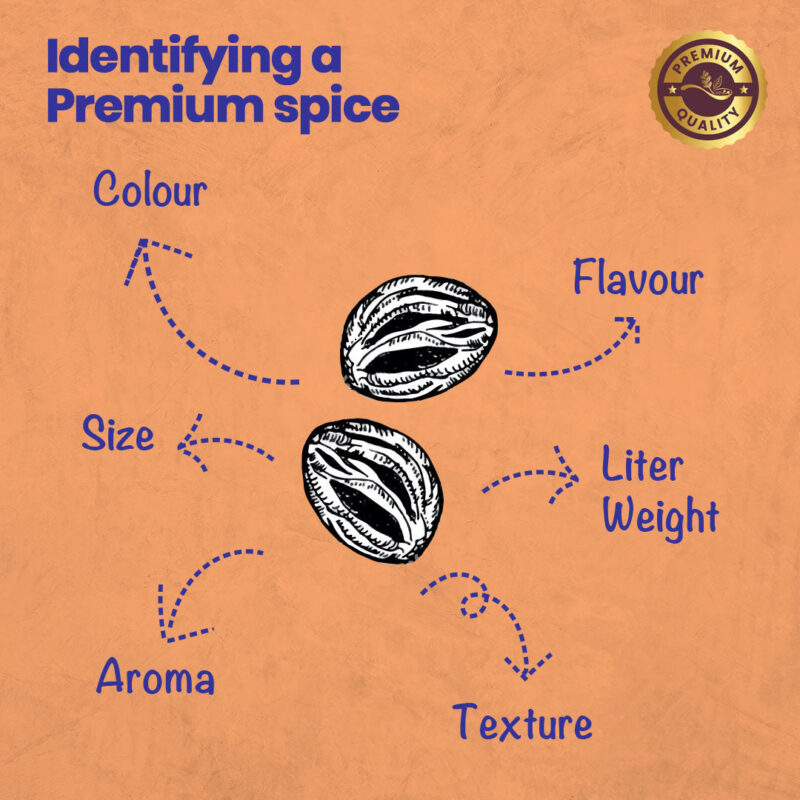 CRISTA Exotic Punjabi Cuisine Whole Spices (Masala) Combo Pack - Image 6