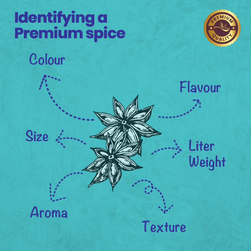 CRISTA Exotic Punjabi Cuisine Whole Spices (Masala) Combo Pack - Image 5