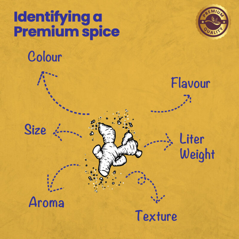 CRISTA Daily Ground Spices (Masala) Combo Pack - 2 - Image 8