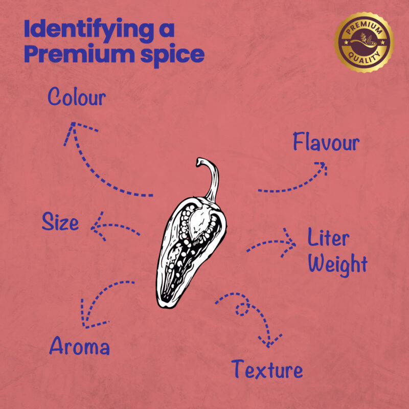 CRISTA Daily Ground Spices (Masala) Combo Pack - 2 - Image 9