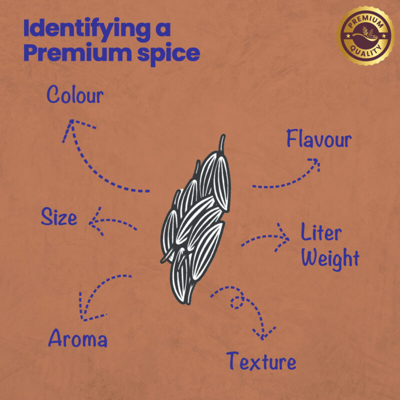 CRISTA Daily Ground Spices (Masala) Combo Pack - 2 - Image 6