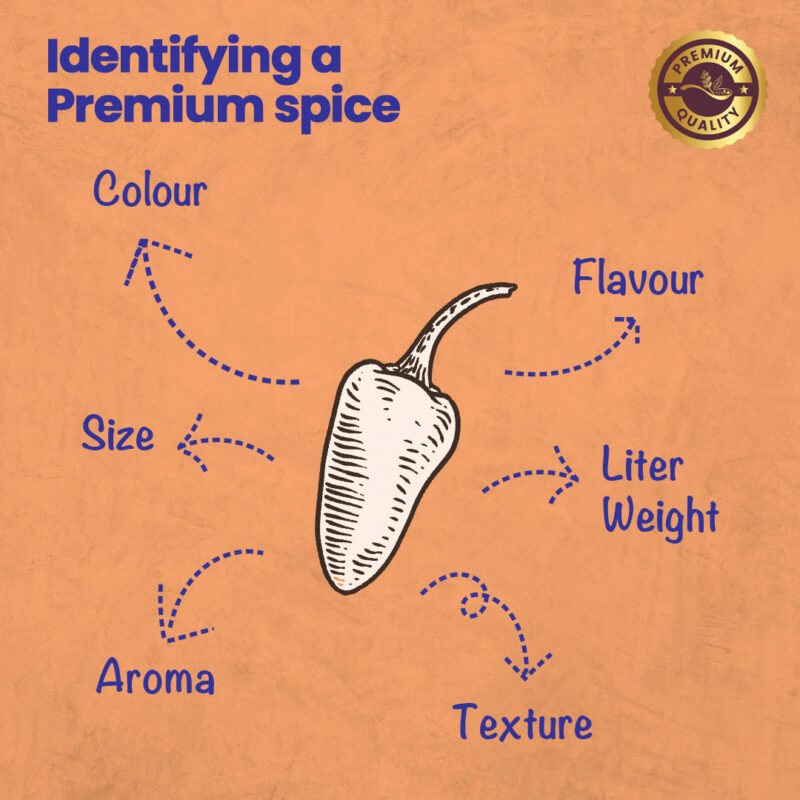 CRISTA Chilli Combo Pack - Image 11