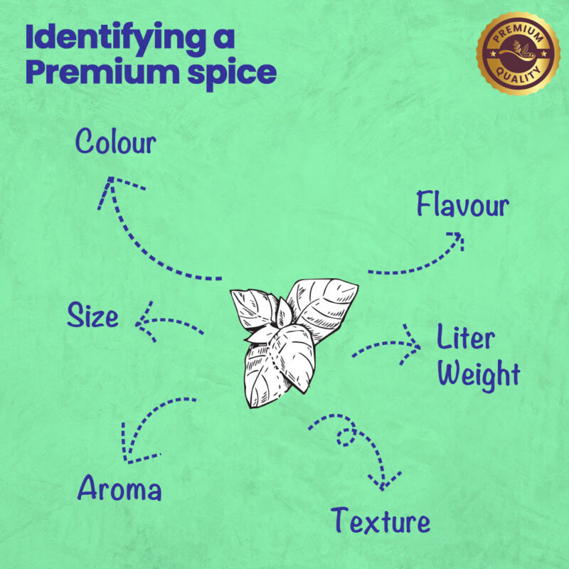 CRISTA Basic Italian Spices Combo Pack - Image 6