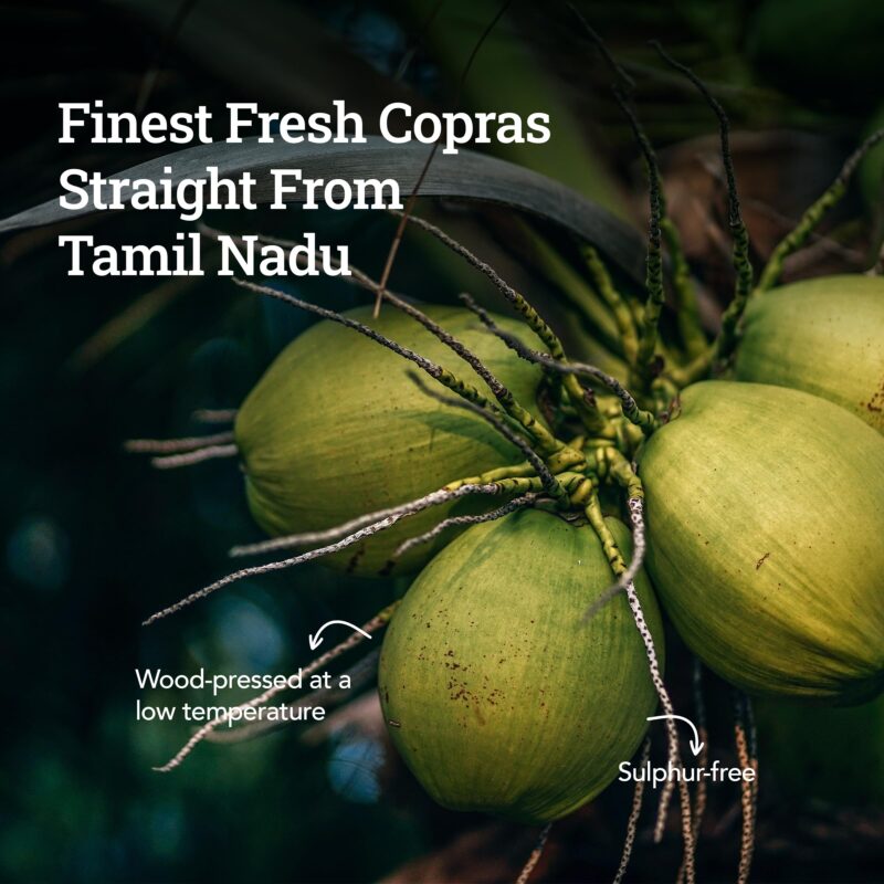 Anveshan Cold Pressed Virgin Coconut Oil 500ML | Glass Jar | Virgin Coconut Oil for Cooking | Virgin Coconut oil for massage | 100% Pure, Natural,Chemical-Free & Edible Coconut Oil | For Cooking, Skin & Hair Health, Oil Pulling - Image 3