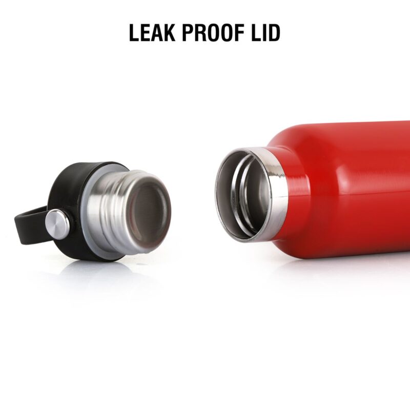 Aqua Bliss Flask, Vacusteel Water Bottle - Image 40