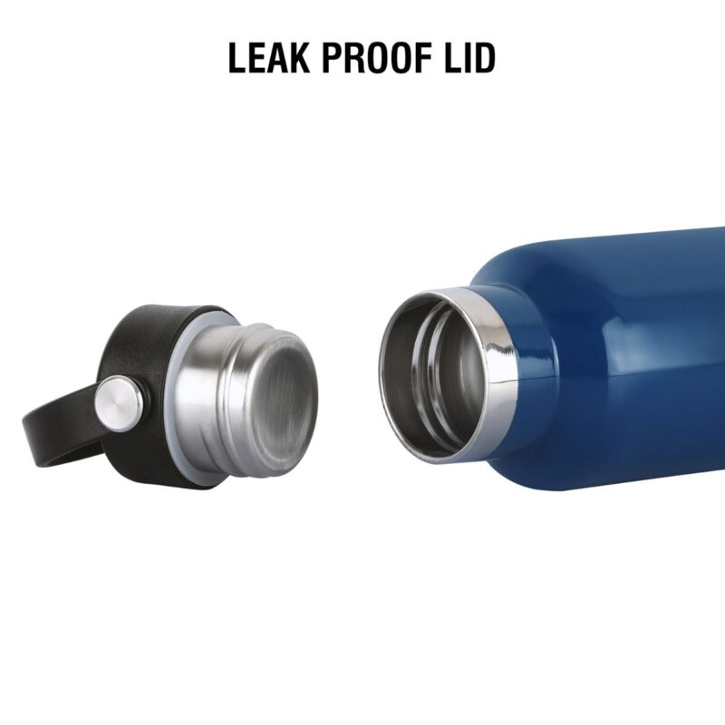 Aqua Bliss Flask, Vacusteel Water Bottle - Image 42