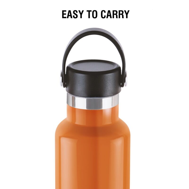 Aqua Bliss Flask, Vacusteel Water Bottle - Image 33