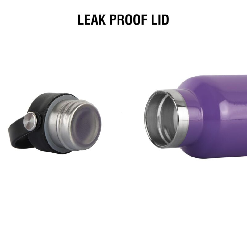 Aqua Bliss Flask, Vacusteel Water Bottle - Image 44