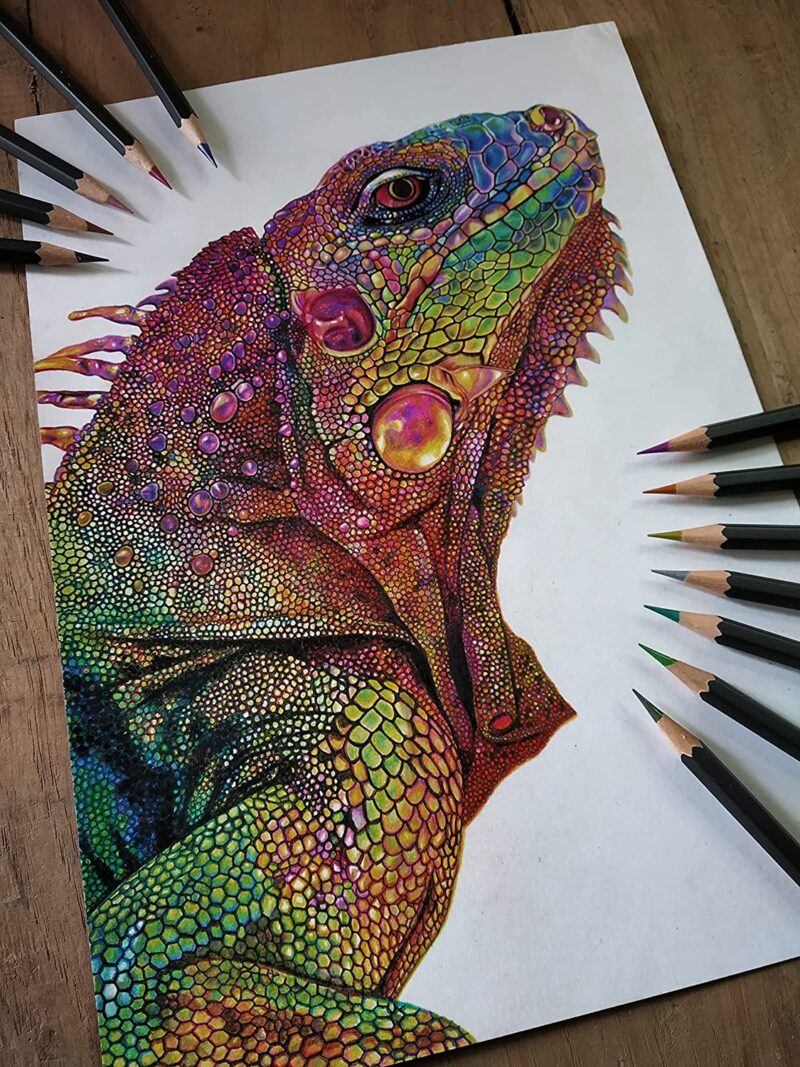 BRUSTRO Artist Metallic Colour Pencil Set of 12 - Image 4