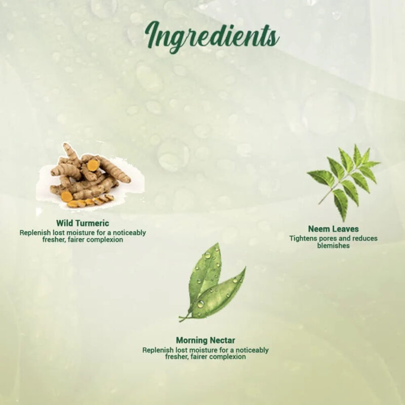 Biotique Morning Nectar Moisturize & Nourish Visibly Flawless Face Wash (All Skin Types) - Image 7