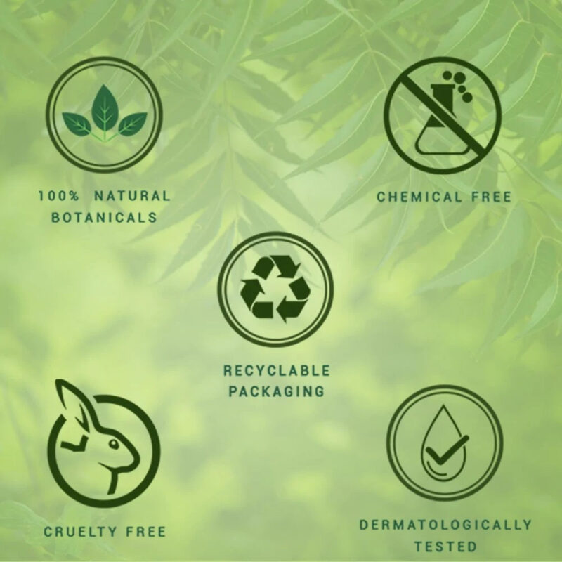 Biotique Fresh Neem Anti-Dandruff Shampoo With Conditioner - Image 8