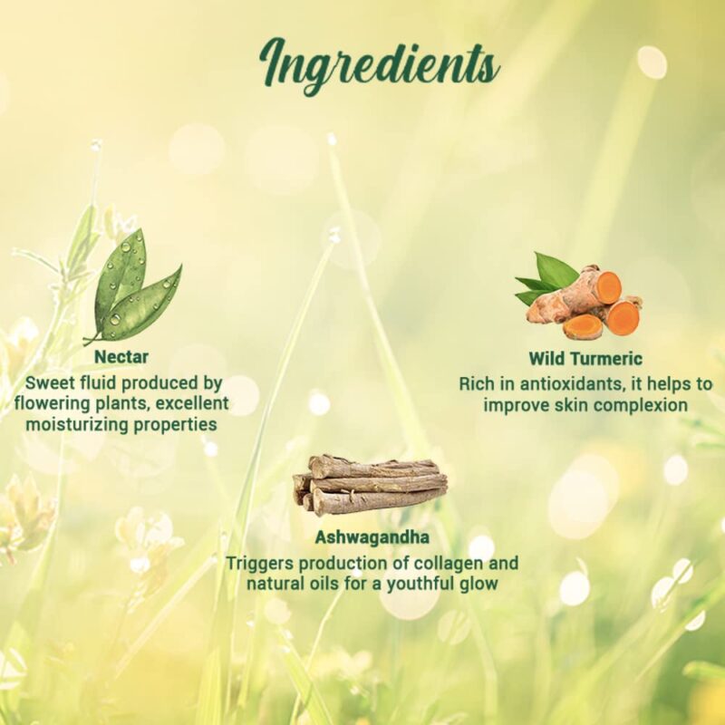 Biotique Morning Nectar Nourish & Hydrate Skin Moisturizer for All Skin Types - Image 5