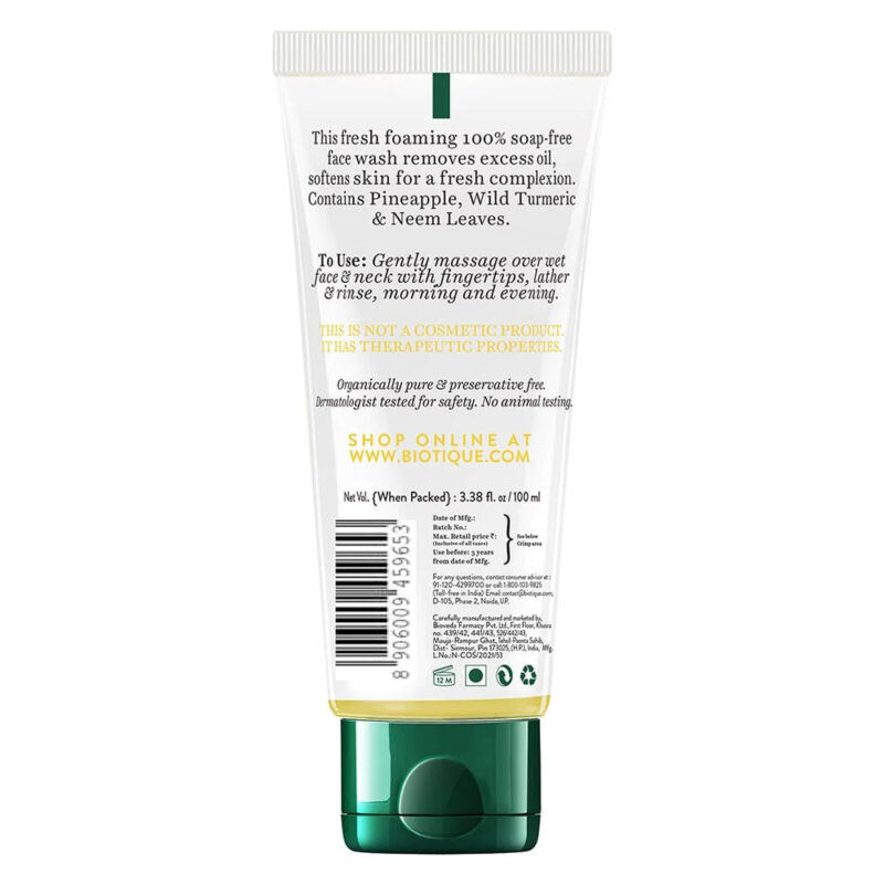 Biotique Pineapple Oil Control Foaming Face Wash - Image 11