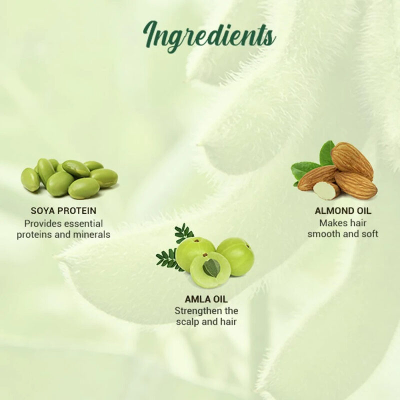 Biotique Soya Protein Intense Repair Shampoo for Dry, Damaged & Color Treated Hair - Image 15