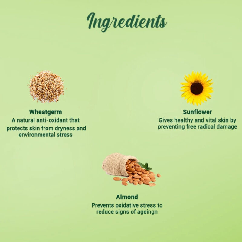 Biotique Wheatgerm Anti-Ageing Night Cream for Normal to Dry Skin - 50 gms - Image 4