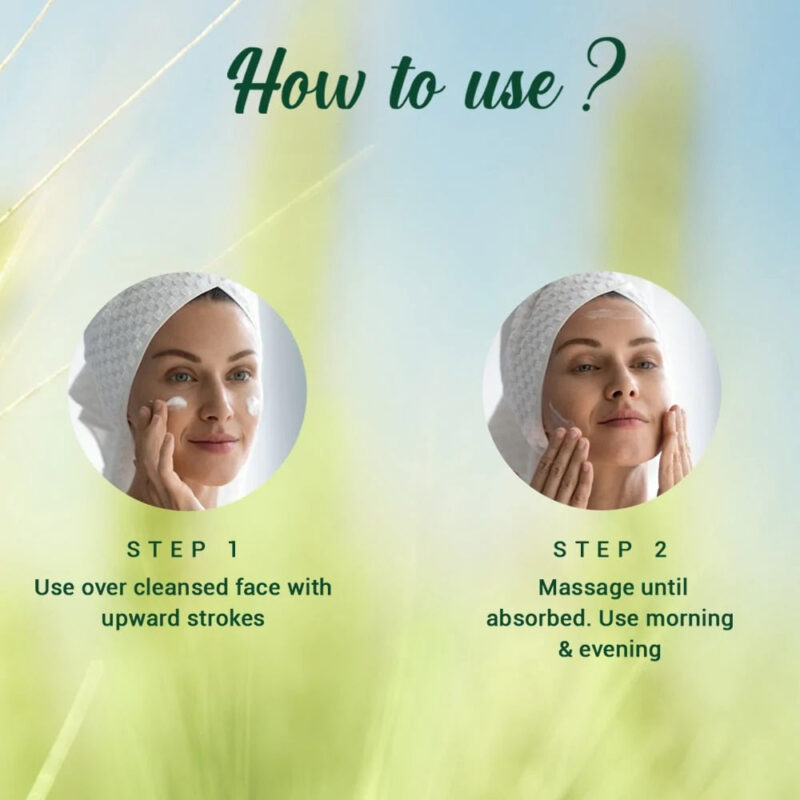 Biotique Wheatgerm Anti-Ageing Night Cream for Normal to Dry Skin - 50 gms - Image 5