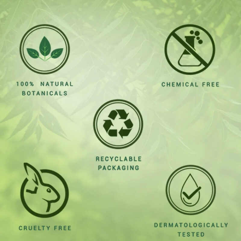 Biotique Wheatgerm Anti-Ageing Night Cream for Normal to Dry Skin - 50 gms - Image 6