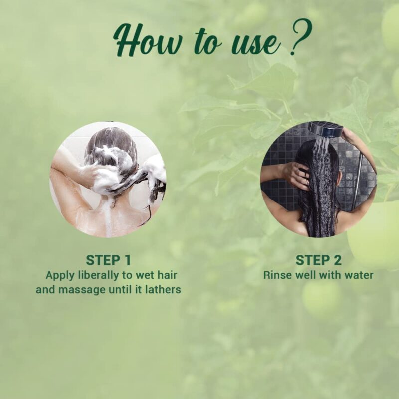 Biotique Green Apple Shine & Gloss Shampoo & Conditioner For Glossy Healthy Hair - Image 16