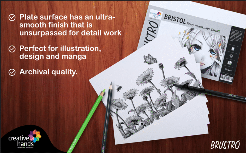 Brustro Bristol Ultra Smooth Paper 250 GSM, Size - 56 x 76 cm, 10 Sheets